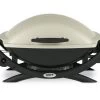 Weber Q™ 2000™ LP Gas Grill - Titanium -Weber Store meewtgqgvwsx