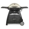 Weber Q™ 3200™ LP Gas Grill - Titanium -Weber Store meyjtbwamlks