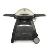 Weber Q3200 2-Burner Freestanding Gas Grill (WEB-Q3200)